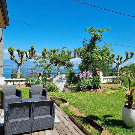 Appartement Cozy 1 Panoramique Lac Leman Thonon-Les-Bains Buitenkant foto
