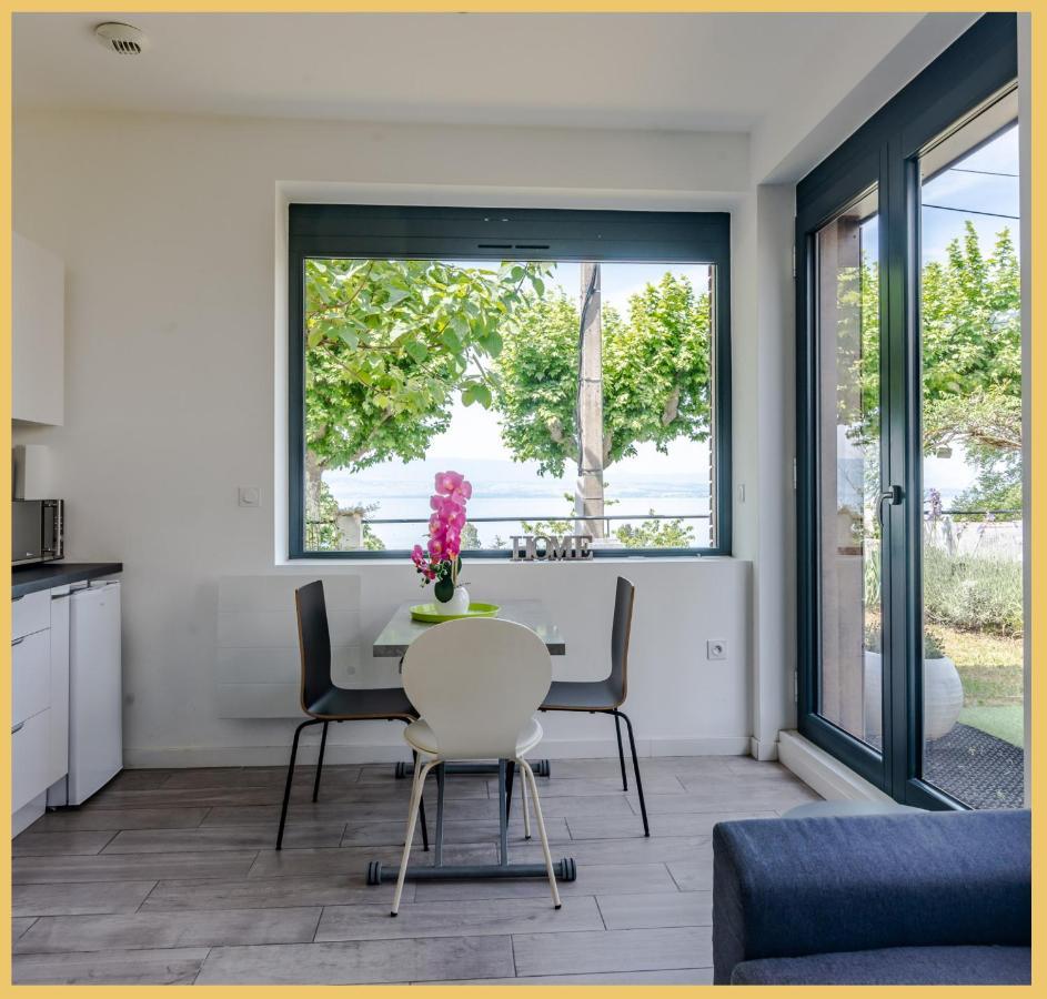 Appartement Cozy 1 Panoramique Lac Leman Thonon-Les-Bains Buitenkant foto