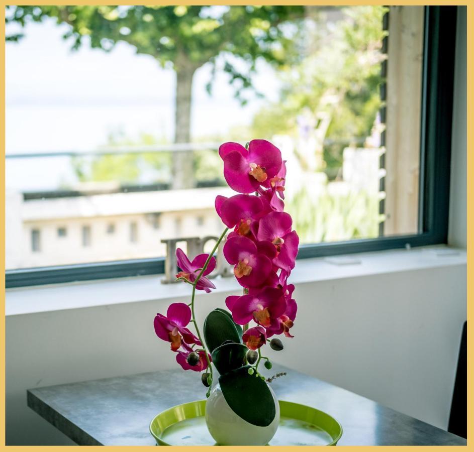 Appartement Cozy 1 Panoramique Lac Leman Thonon-Les-Bains Buitenkant foto